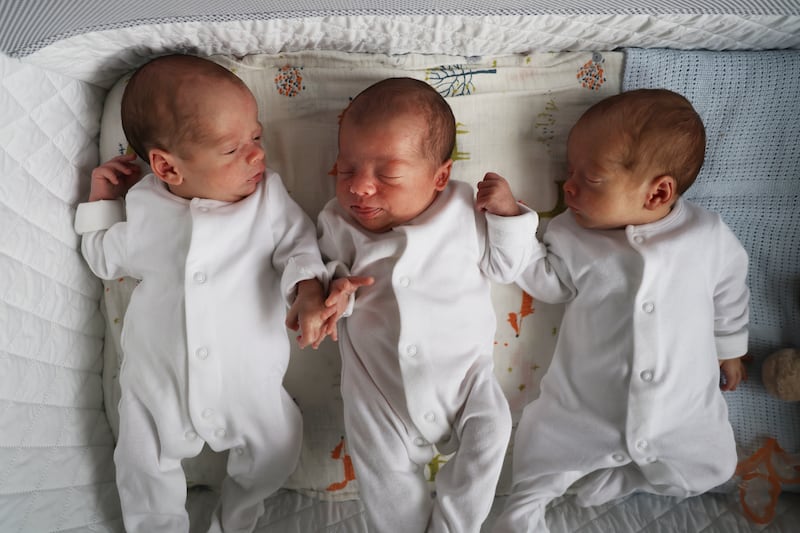 Kai, Theo and Bella at home in Co Wicklow. Photograph: Bryan O’Brien/The Irish Times