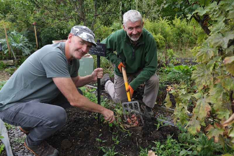 Bayside Community Orchard in north Co Dublin, shortlisted in Ireland’s Greenest Suburb. Some of those involved digging up potatoes, Donncha O’Cathasaigh (left) and Tom Glynn. Photograph: Bryan O’Brien
