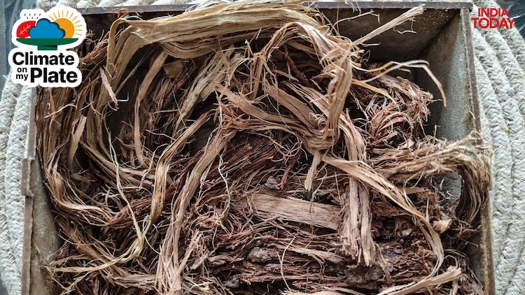 Jatamansi, also known as Indian spikenard, is seen inside a box made of jute. (Photo: Getty)