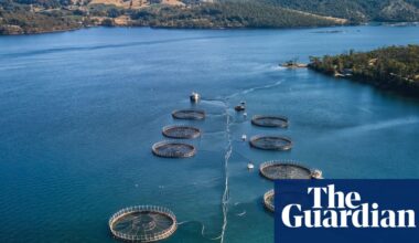 More than 150,000 underwater explosives used to deter seals at Tasmanian salmon farms since 2016 | Tasmania
