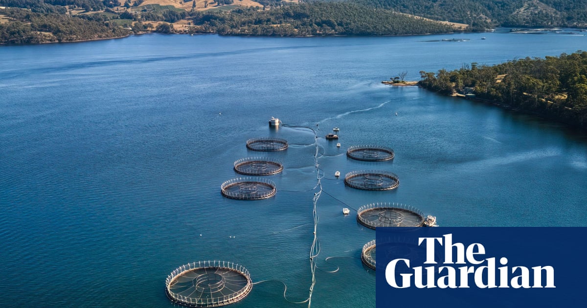 More than 150,000 underwater explosives used to deter seals at Tasmanian salmon farms since 2016 | Tasmania