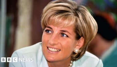Earl Spencer's unreleased book on Diana stolen in the Netherlands - BBC