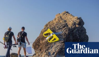 A sea of hands, a giant ‘lifesaver-saurus’ and a melting robot: Queensland’s SWELL sculpture festival 2026 – in pictures | Sculpture