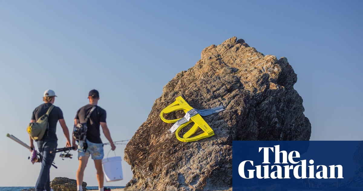 A sea of hands, a giant ‘lifesaver-saurus’ and a melting robot: Queensland’s SWELL sculpture festival 2026 – in pictures | Sculpture