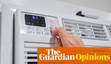 Air conditioners are our best bet in the fight against extreme heat – whether we like it or not | Eduardo Porter