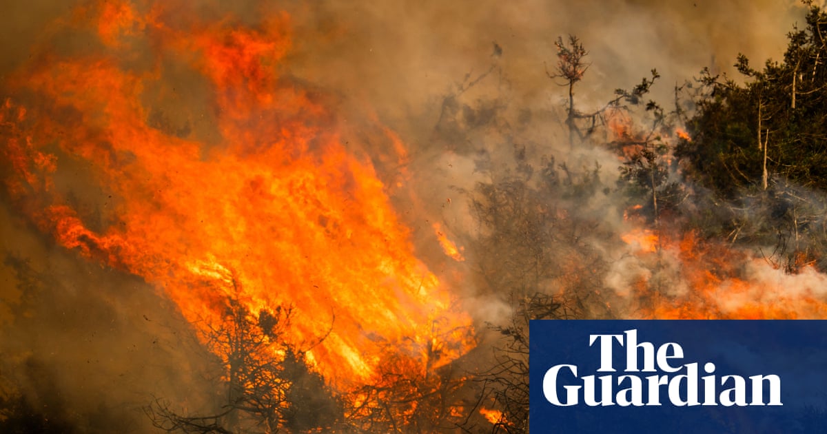 ‘We’re near a breaking point:’ firefighters say US government is failing them amid intense wildfire season | Firefighters