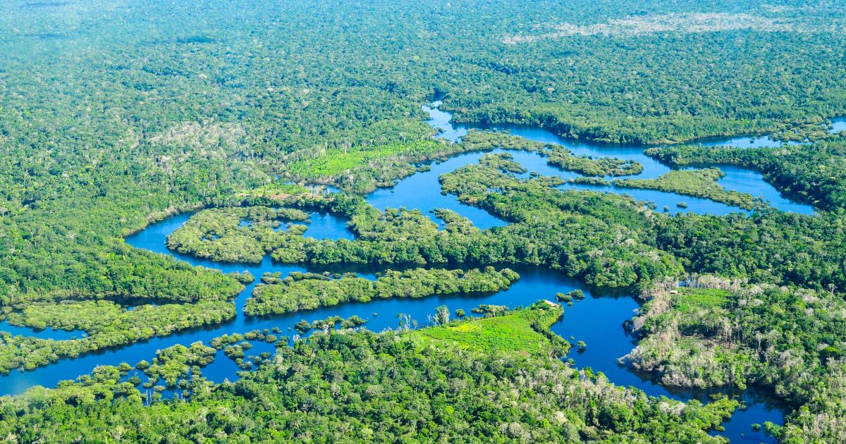The commodification of conservation