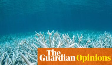 Australia and Canada can learn from each other on climate if we separate action from declaration | Rosa Galvez