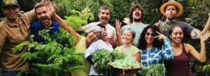 Food makes moringa message more palatable | Print Edition