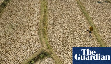 ‘Forcing a reckoning’: How Asia is preparing for a ‘supersized’ El Niño | El Niño southern oscillation