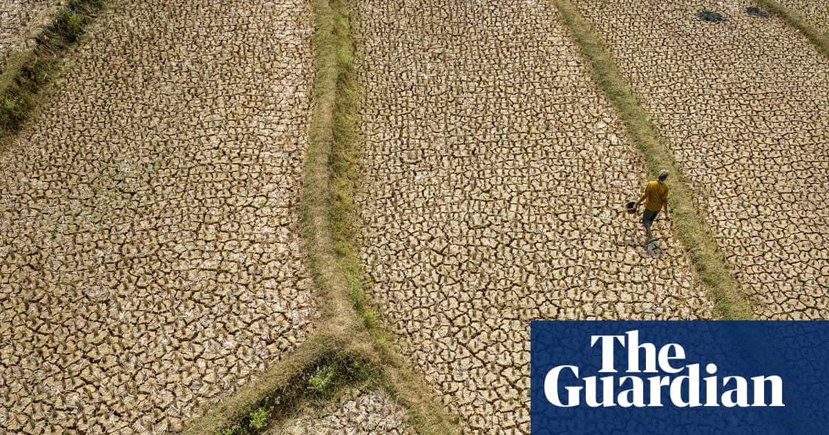 ‘Forcing a reckoning’: How Asia is preparing for a ‘supersized’ El Niño | El Niño southern oscillation