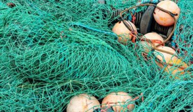 Illegal fishing reported in Co. Waterford - News