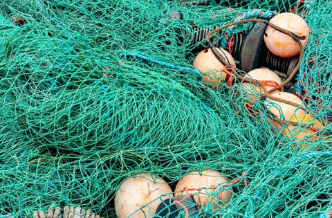 Illegal fishing reported in Co. Waterford - News