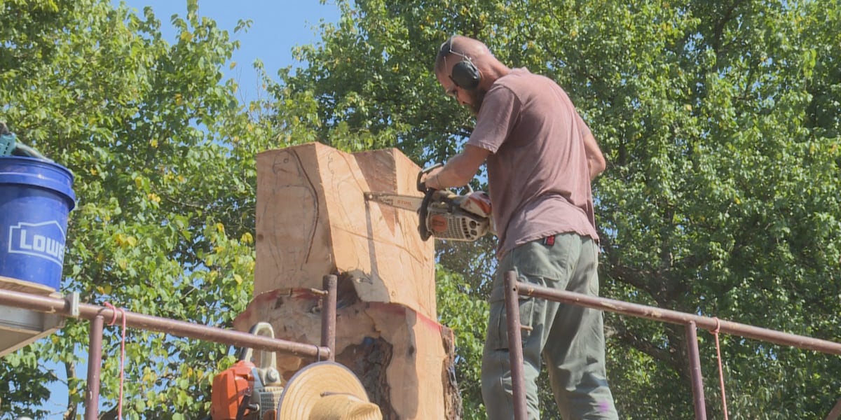 Phelps Grove Park in Springfield welcomes a new sculpture by a woodworker