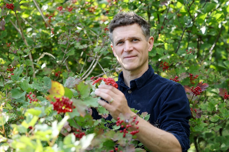 Warner is clear that the early loss of his father never defined him. While there was a void growing up, he had a happy childhood pursuing his interests in nature. Photograph: Alan Betson/The Irish Times