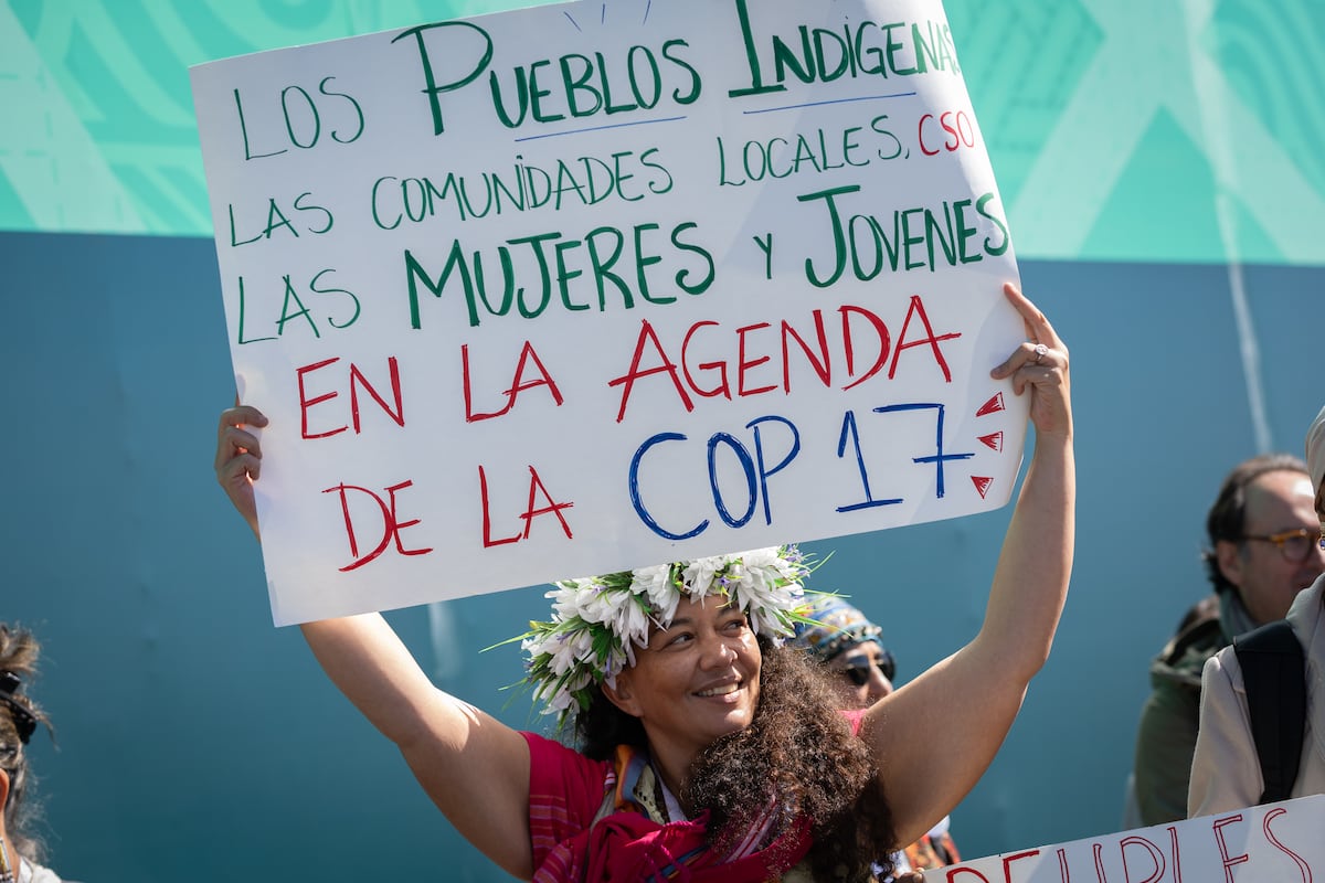 EL PAÍS