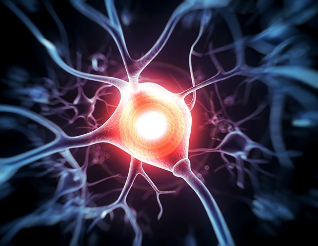 Targeted antibody therapy provides long-lasting relief from neuropathic pain