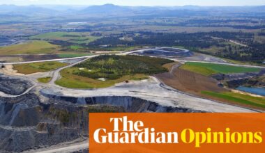 Australia’s big polluters rely on carbon offsets for climate credibility. But the system looks like a house of cards | Adam Morton