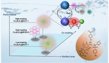 Harnessing the structural synergy of high loading cobalt pyroborate on fibrous silica for efficient and recyclable advanced oxidation catalysis