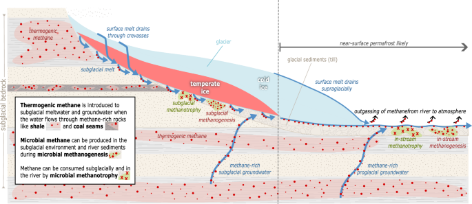 Fig. 6: Conceptual model of subglacial methane mobilization.