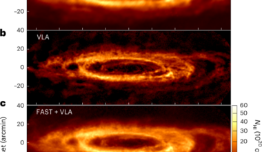 Supernova origin of galactic turbulence revealed by superbubbles