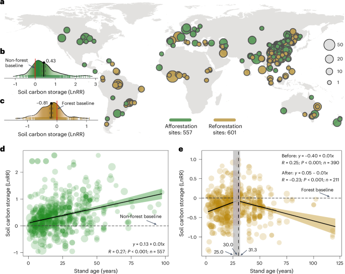 Afforestation and reforestation support coupled gains in soil life and carbon storage worldwide