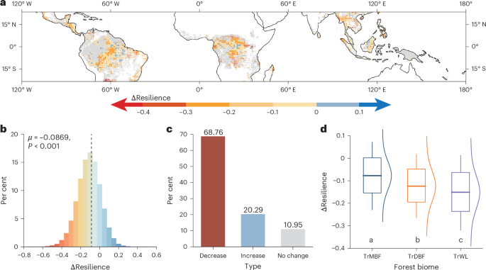 Precipitation and soil phosphorus regulate post-drought resilience in tropical forests
