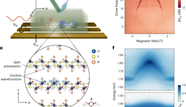 Microwave-to-optical transduction using magnon–exciton coupling