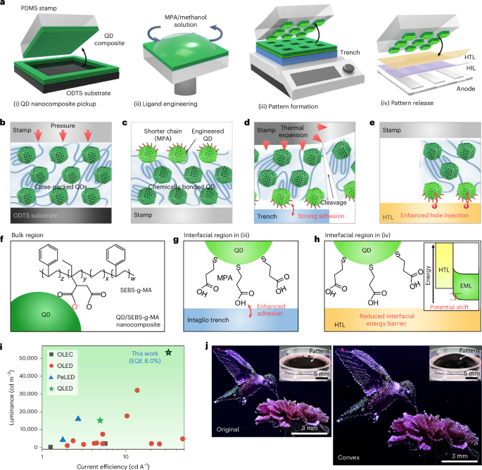 High-resolution intrinsically stretchable quantum-dot displays through thermally assisted intaglio transfer printing