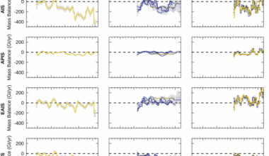 Mass balance of the Greenland and Antarctic ice sheets from the 1970s to 2023