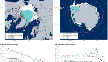 Changes in Arctic and Antarctic sea-ice properties and processes