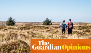 We greet the news that AI could extinguish us with a glazed indifference. What is the way out of this nihilism? | Brigid Delaney