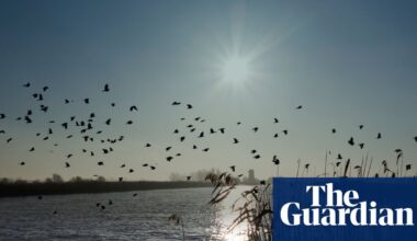 ‘Cash to trash’ levy on house developers too low to offset damage to Norfolk Broads, say critics | Environment policy