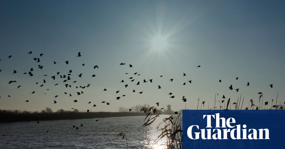 ‘Cash to trash’ levy on house developers too low to offset damage to Norfolk Broads, say critics | Environment policy