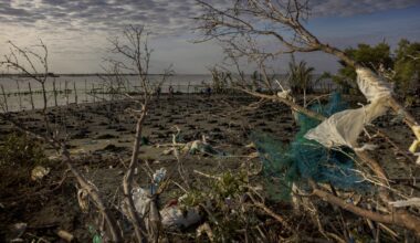 Why the fight against pollution depends on better data