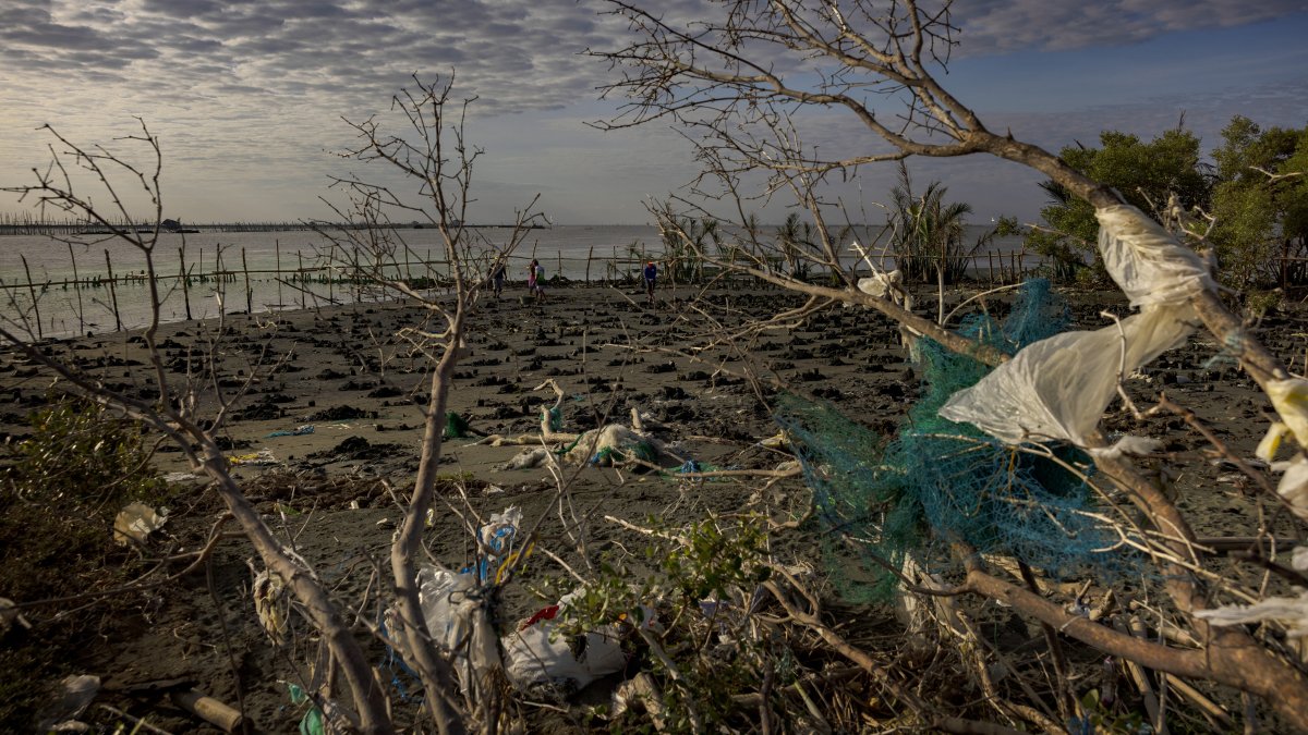Why the fight against pollution depends on better data