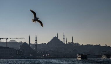 OECD lifts Türkiye inflation forecasts, lowers growth outlook