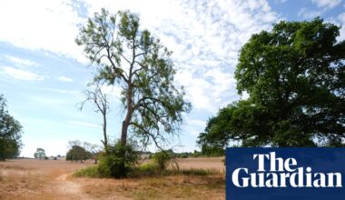 Wildlife will be affected by current drought for years to come, UK government says | Drought