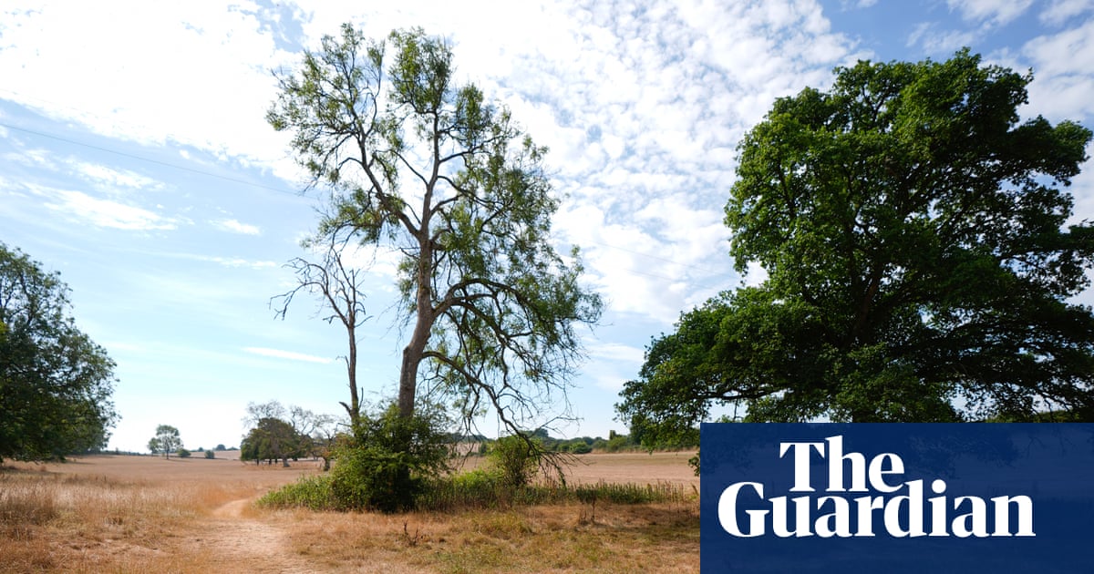 Wildlife will be affected by current drought for years to come, UK government says | Drought