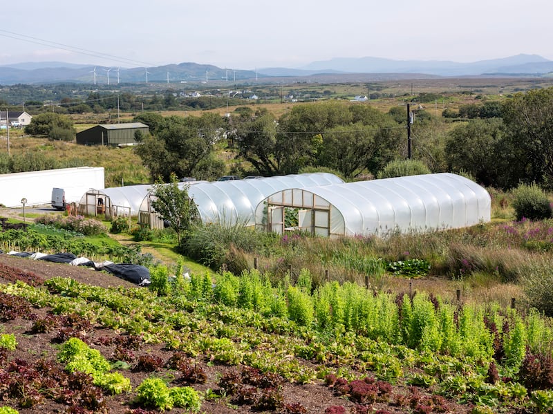 Barrie Quinn's Portnoo Market Garden