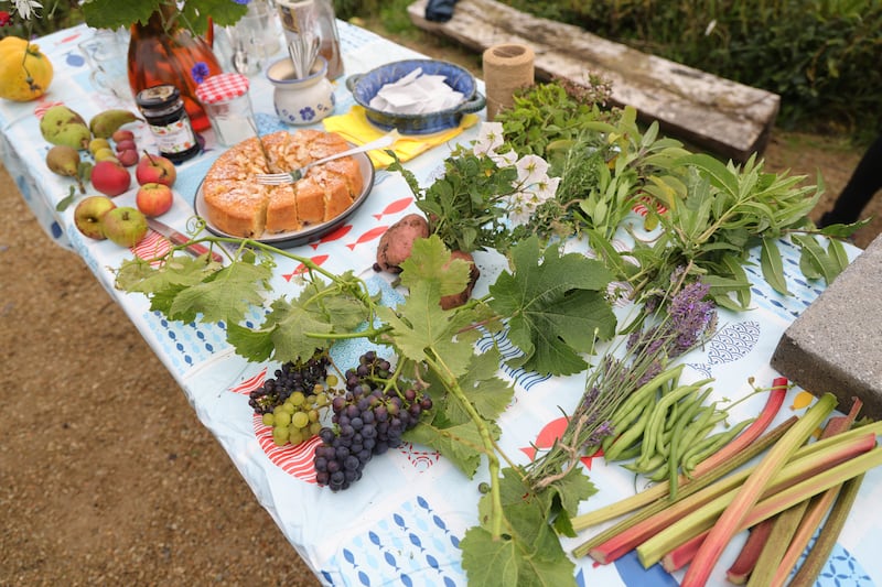 Some of the fruit and vegetables grown at Bayside Community Orchard in north Co Dublin, shortlisted in Ireland’s Greenest Suburb. Photograph: Bryan O’Brien 