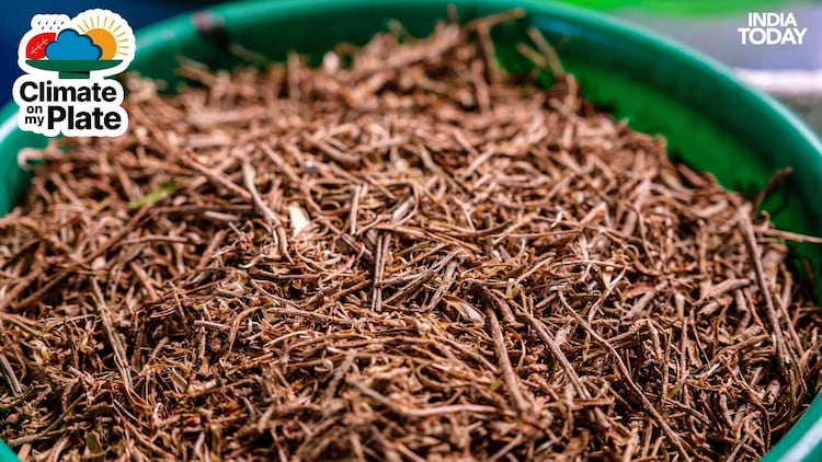 A close-up image of dried Ashwagandha is seen. (Photo: Getty)