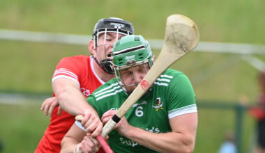 John Horgan picks his six clubs to qualify in the Premier Senior Hurling Championship in Cork