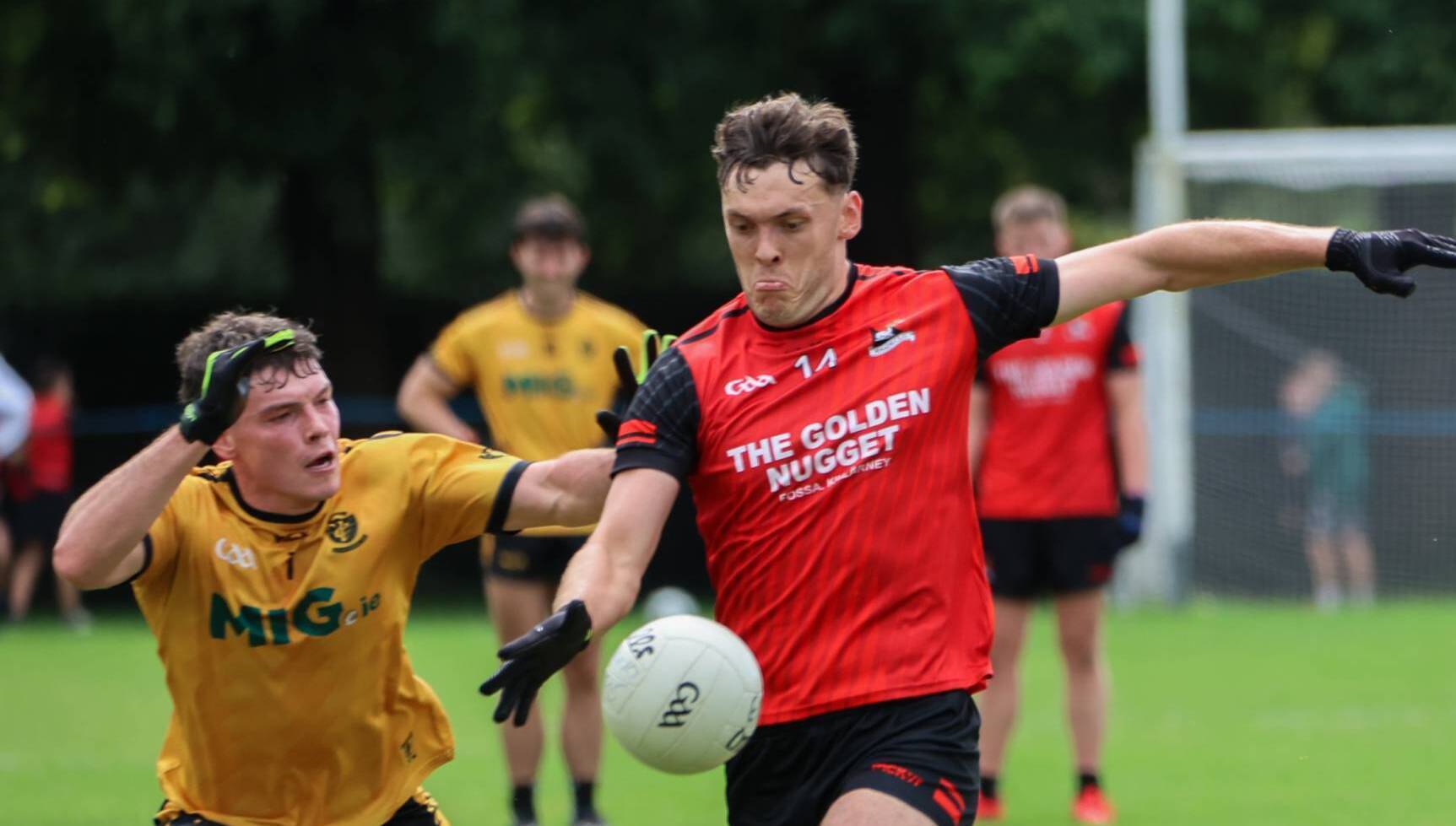 Jimmy Barry-Murphy on David Clifford: "It's great to see a player like that showing up for his club and showing that commitment and what it means to him." Pic: Tatyana McGough.