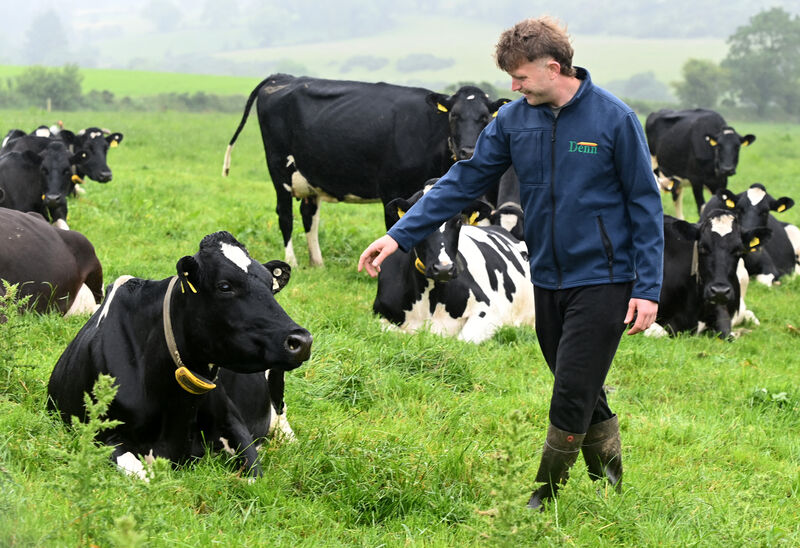 Jack Skehan with dairy cows on his farm at Ballinamult Co. Waterford. Picture: Eddie O'Hare