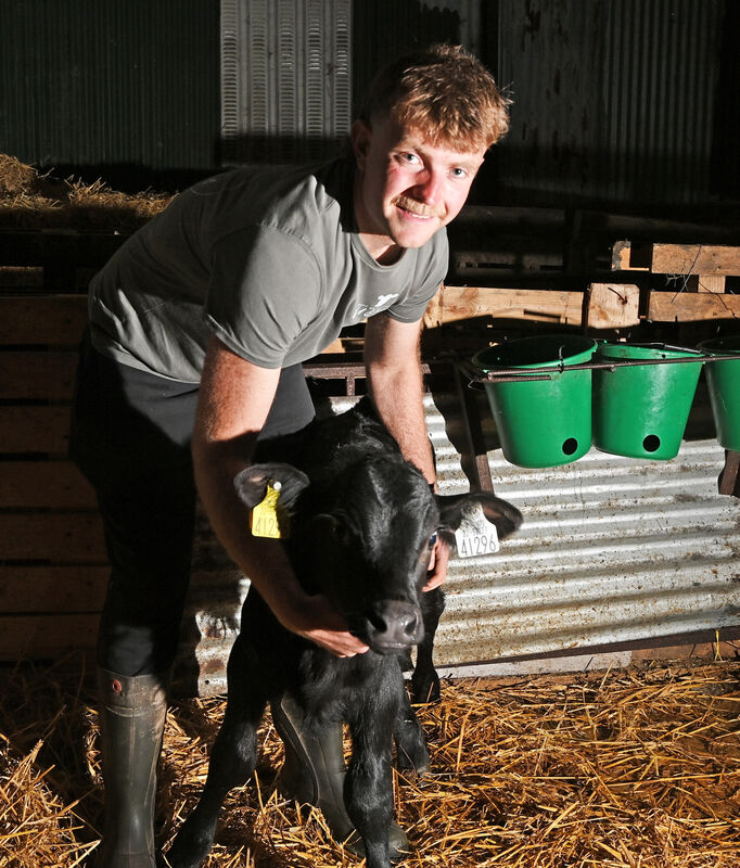 Jack Skehan with a calf on his farm at Ballinamult Co. Waterford. Picture: Eddie O'Hare