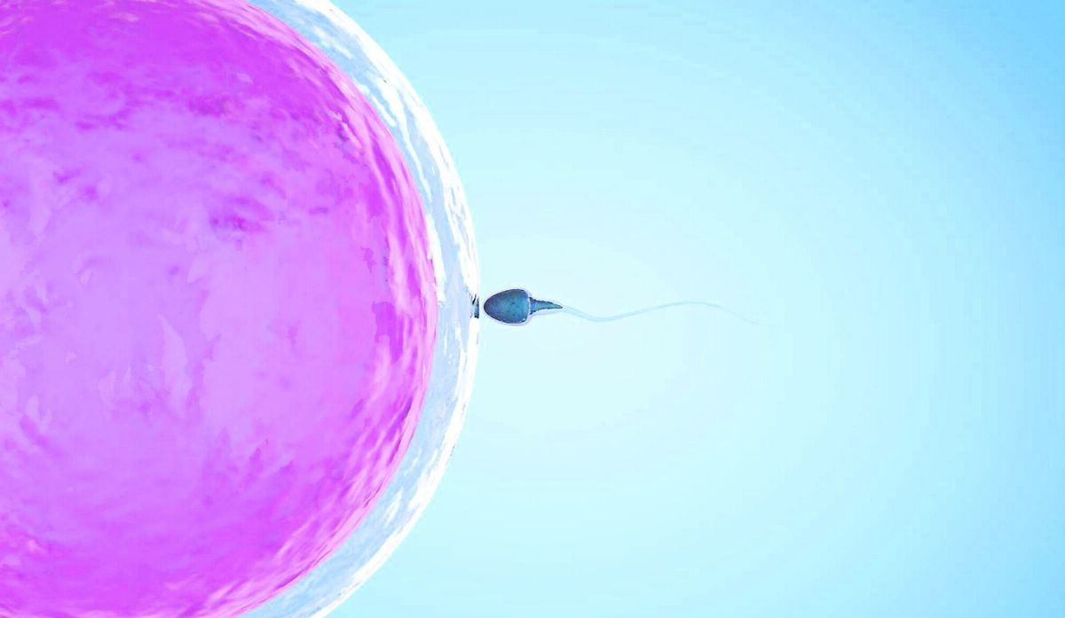 “Any change that you make can potentially make a difference to your semen test three, four, five months down the line.” says Dr Sarah Martins DaSilva