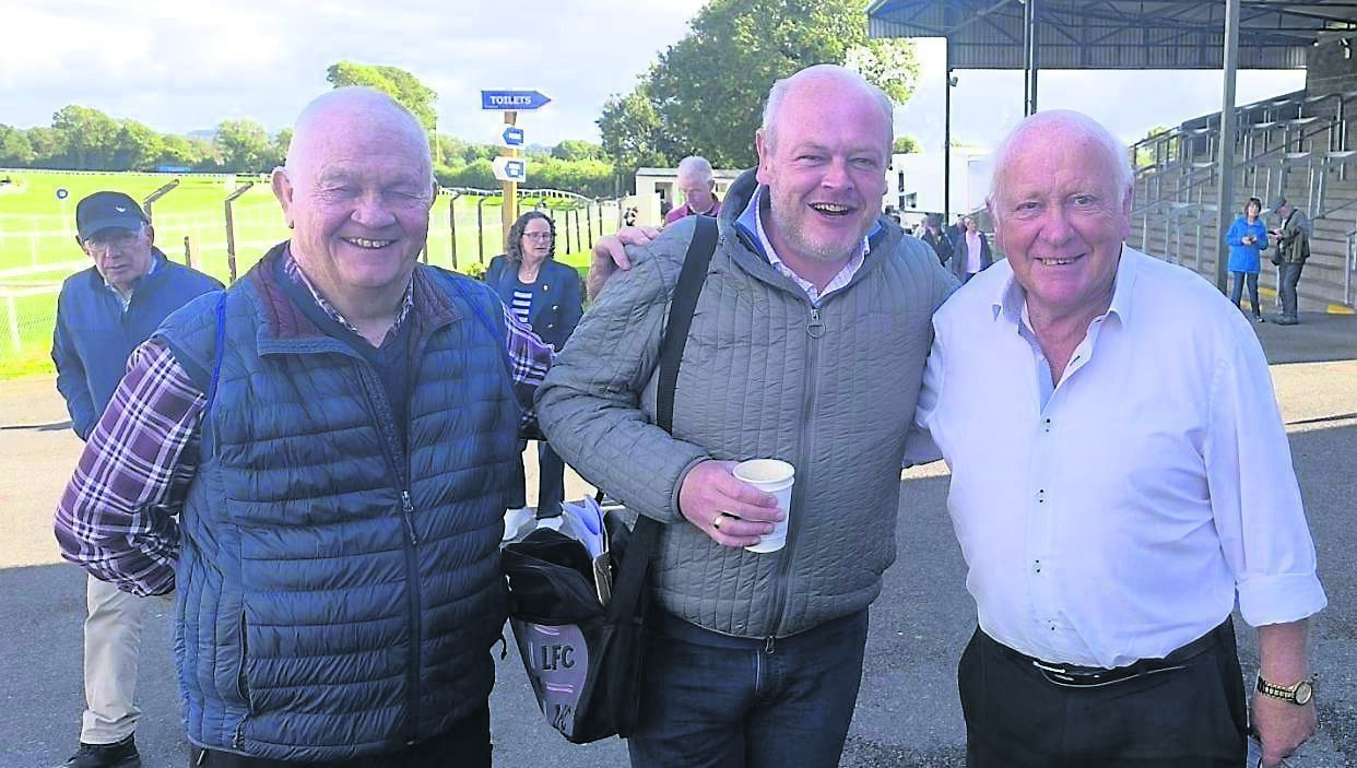 John Arnold: A day at the races... but using AI to select bets lost me €60!