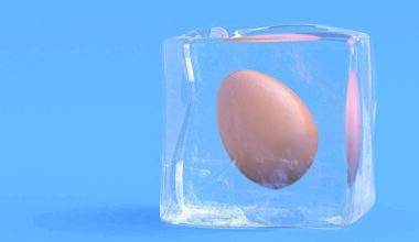 American congress woman Alexandria Ocasio-Cortez has begun the process of egg-freezing. Picture: FP via Getty Images