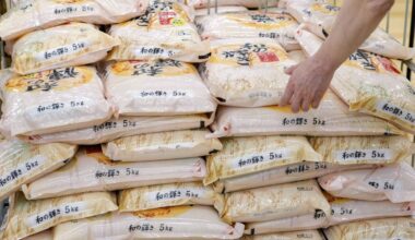 Rice prices fall below ¥3,000 for first time in two years